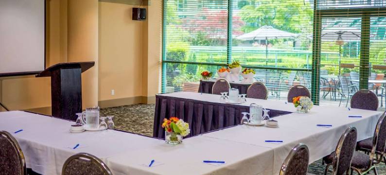 罗瑟达尔罗布森套房酒店(Rosedale on Robson Suite Hotel)图片