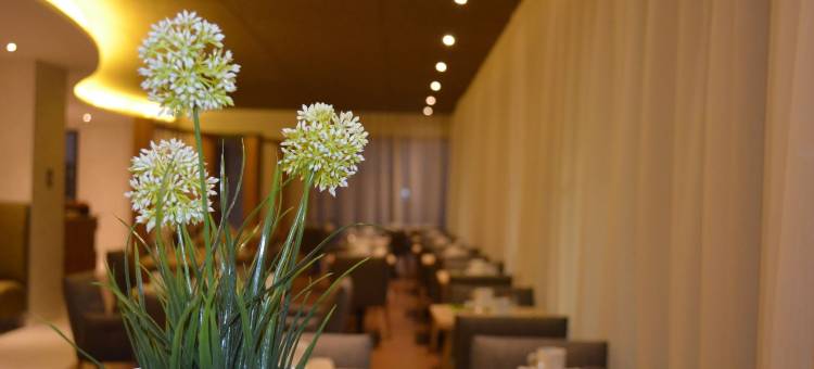 圣布里厄普莱兰英国人酒店(Brit Hotel & Spa Saint Brieuc Plérin)图片