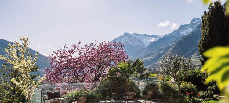 霍安瓦特酒店(Hotel Hohenwart)图片