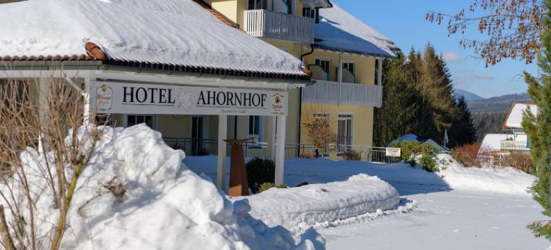 阿霍恩霍夫酒店(Hotel Ahornhof)图片