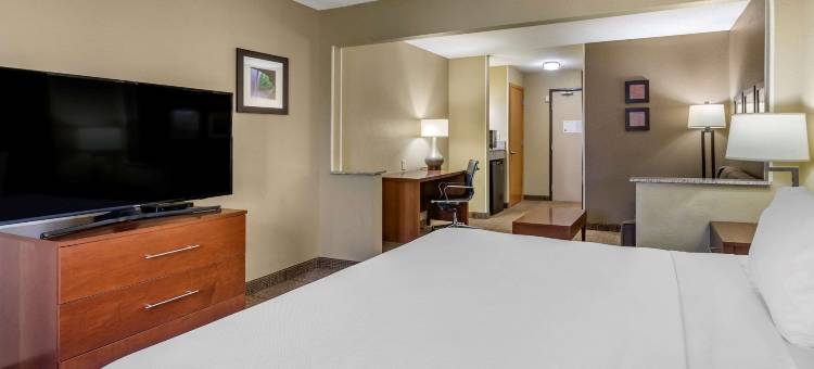 莫林-阔德城舒适酒店(Comfort Inn Moline - Quad Cities)图片