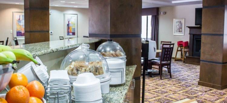 舒适套房酒店(Comfort Suites)图片