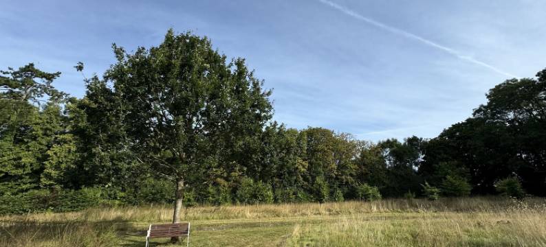 胡克伍德旅馆(Hookwood Lodge)图片