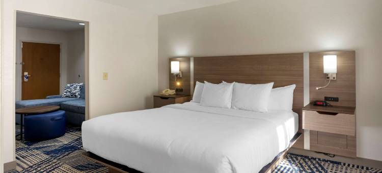 温泉城中城舒适套房酒店(Comfort Inn & Suites Hot Springs Midtown)图片