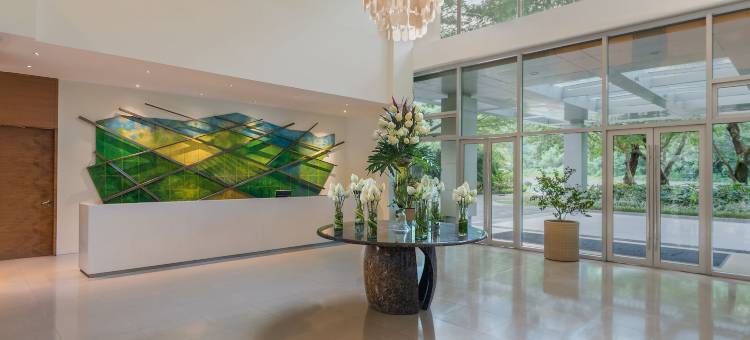 派克金沙酒店(Pico Sands Hotel)图片