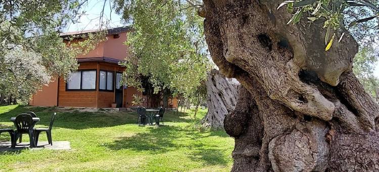 橄榄平原酒店(La Piana Degli Ulivi)图片