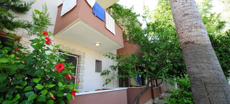 黄金旅馆(Golden Pension)图片