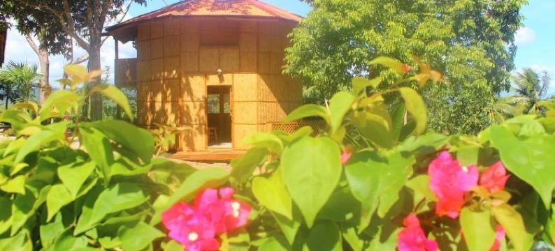 阿尔哈姆拉丛林度假村(Al Hamra Jungle Resort)图片