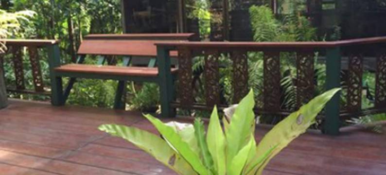 菲姆天堂酒店(Fern Paradise)图片