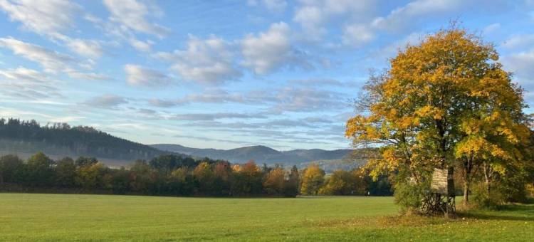 德赖斯拉尔山隐居处(Ferienwohnung im Sauerland)图片