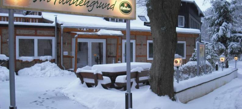 因姆坦奈格鲁德酒店(Hotel Im Tannengrund)图片