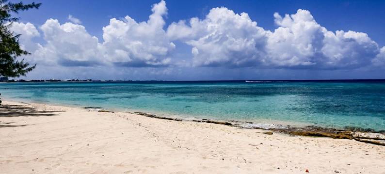 豪华顶层公寓带360度海景(Luxury Penthouse Condo With 360 Oceanviews)图片