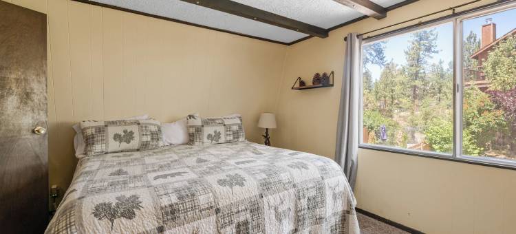 松林小屋(Cabin in the Pines)图片