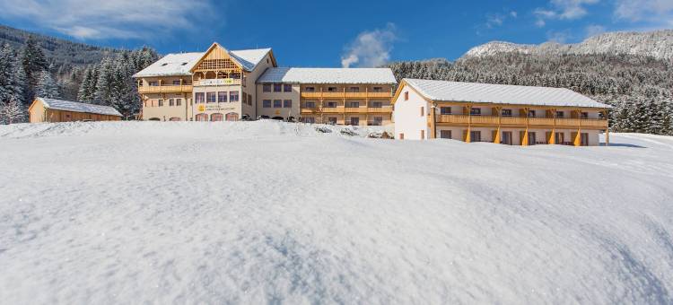 尤法基斯特达乡村度假旅馆(JUFA Hotel Gitschtal)图片