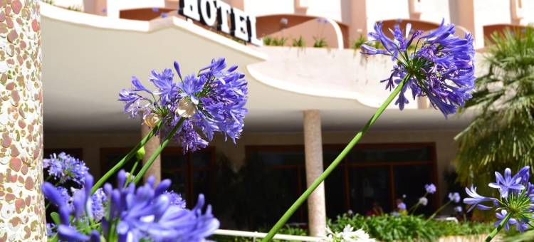 罗斯罗布雷斯酒店(Hotel Los Robles)图片