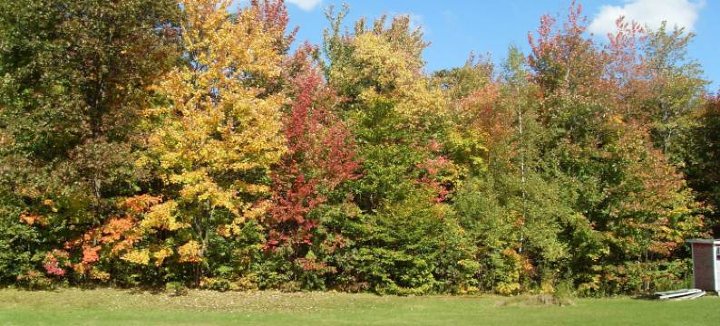 丽沃伊哲汽车旅馆(Motel Le Voyageur)图片