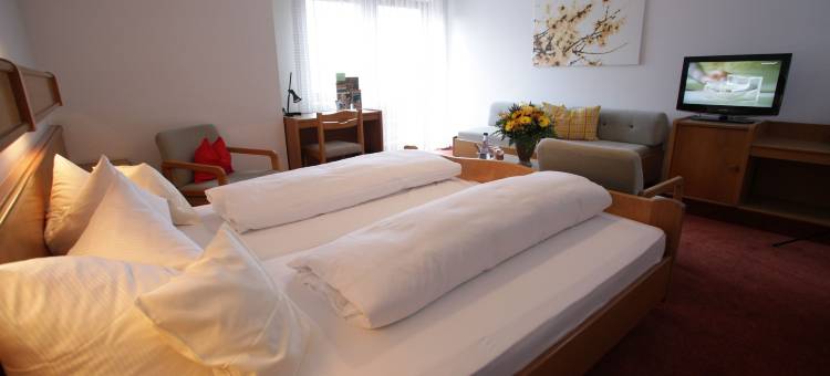 苏姆阿特施罗斯兰迪伊尔酒店(Landidyll Hotel Zum Alten Schloss)图片
