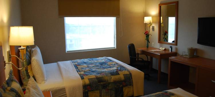 里约维斯塔波萨里卡商务高级酒店(Rio Vista Inn Business High Class Hotel Poza Rica)图片