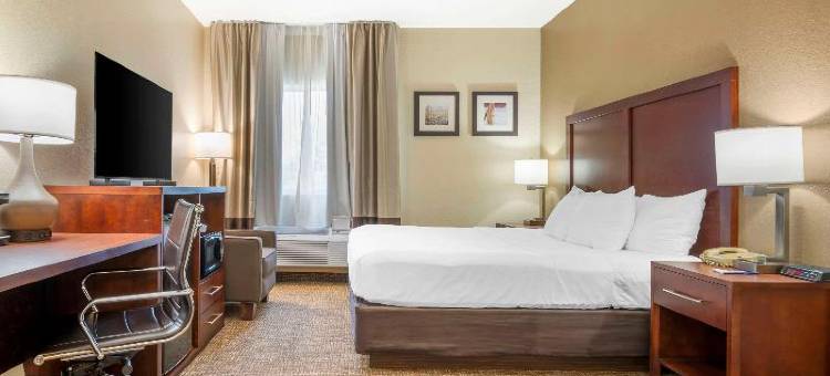 舒适酒店弗里蒙特(Comfort Inn Fremont)图片