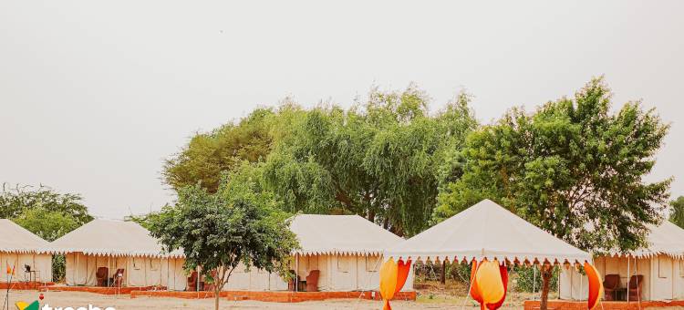Treebo沙漠和谐露营地(Treebo Desert Harmony Camp)图片