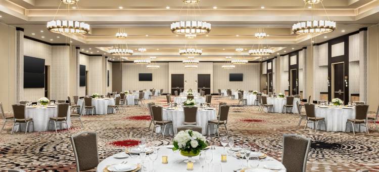 希尔顿大使套房 - 圆石城(Embassy Suites by Hilton Round Rock)图片