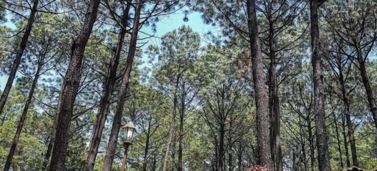 拉斯莫雷纳斯 - 特雷斯卢纳斯圆顶屋(Tres Lunas Domo)图片