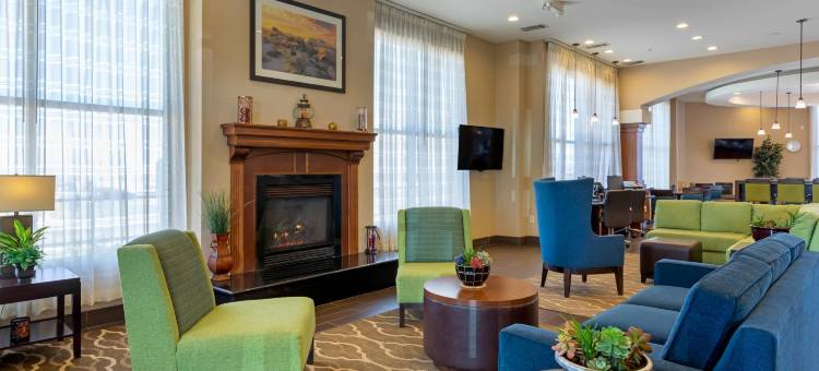 巴斯托I-15附近舒适套房酒店(Comfort Suites Barstow Near I-15)图片