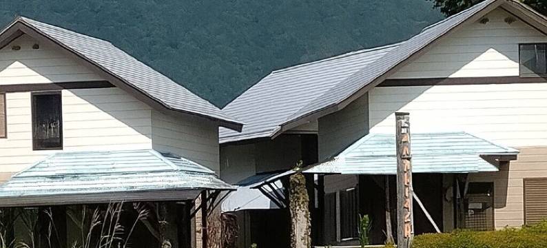 鲁比纳斯河口湖(Lupinus Kawaguchiko)图片