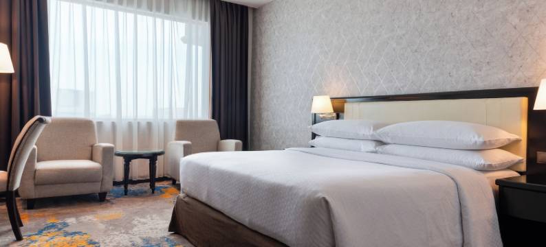 棉兰福朋喜来登酒店(Four Points by Sheraton Medan)图片