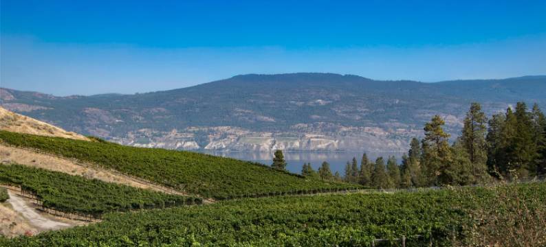 Coast Penticton Hotel图片