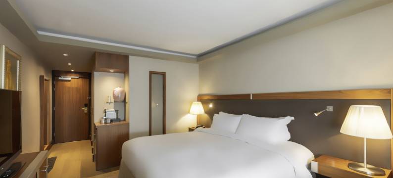 里昂贝勒库尔索菲特酒店(Sofitel Lyon Bellecour)图片