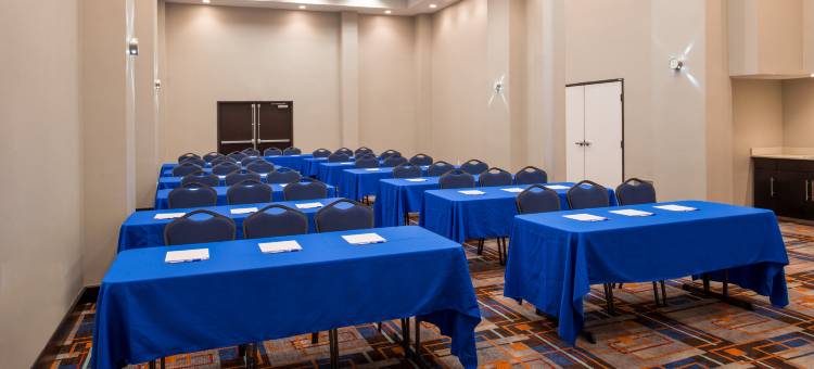 圣安东尼奥医疗六旗智选假日套房酒店(Holiday Inn Express & Suites San Antonio Medical-Six Flags)图片