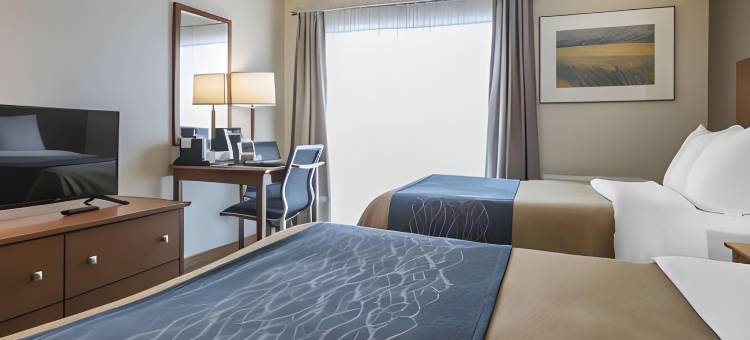 舒适酒店(Comfort Inn)图片