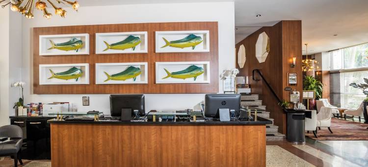 迈阿密海滩Croydon酒店(Hotel Croydon Miami Beach)图片
