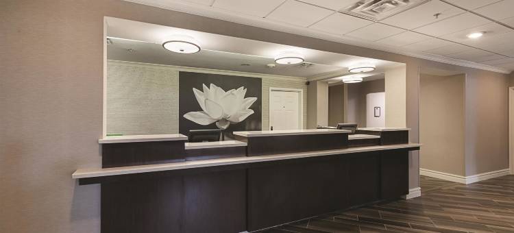 罗利达勒姆机场拉昆塔温德姆套房酒店(La Quinta Inn & Suites by Wyndham Raleigh Durham Airport)图片