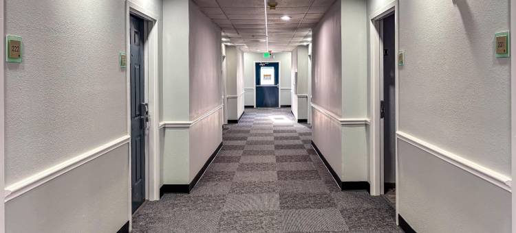 休斯顿韦斯特切斯温德姆呗盟酒店(Baymont by Wyndham Houston/Westchase)图片