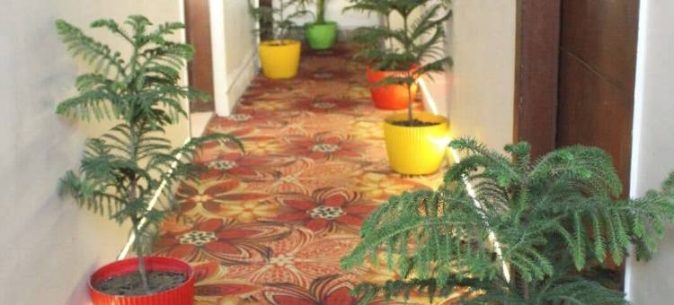 阳光酒店(Hotel Sunny)图片