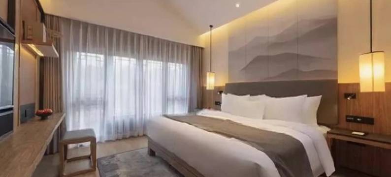 意巷莱恩酒店(成都双流国际机场店)图片