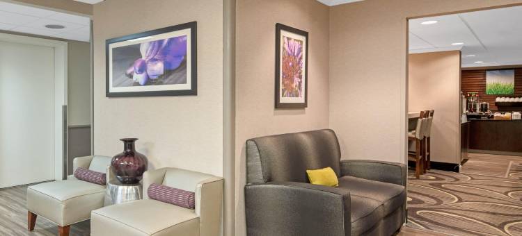 巴吞鲁日齐根莱恩拉昆塔温德姆套房酒店(La Quinta Inn & Suites by Wyndham Baton Rouge Siegen Lane)图片