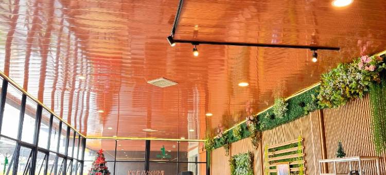 ABE酒店及会议中心(ABE Hotel and Convention)图片