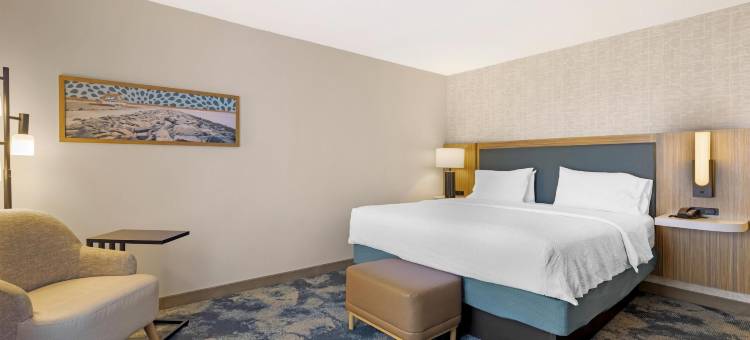 希尔顿欢朋套房酒店-普里茅斯(Hampton Inn & Suites Plymouth)图片