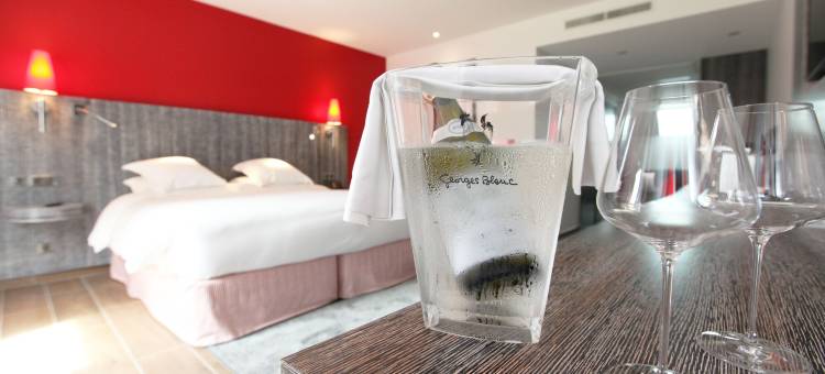 莱斯吗里彤尼斯公园＆维格富豪酒店(Les Maritonnes Parc & Vignoble)图片