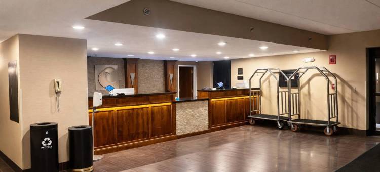 舒适酒店(Comfort Inn)图片