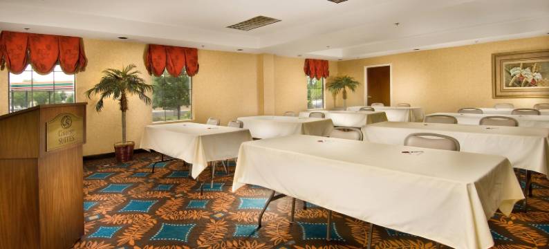 达勒斯机场舒适套房酒店(Comfort Suites Dulles Airport)图片