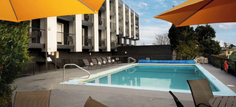 维克 - 登高精选酒店(The Vic, Ascend Hotel Collection)图片