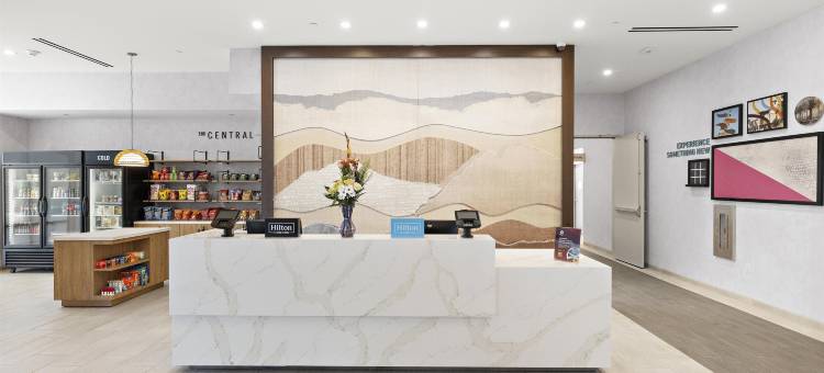 希尔顿欢朋酒店安大略机场(Hampton Inn by Hilton Ontario Airport)图片
