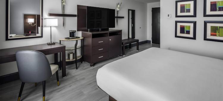 萨拉索塔布雷登顿机场希尔顿逸林酒店(DoubleTree by Hilton Sarasota Bradenton Airport)图片