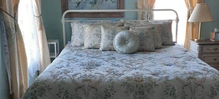 Victorian Spa EnSuite @ Nottingham PL, King Bed, Jacuzzi Near UVa-Wise & Main St图片