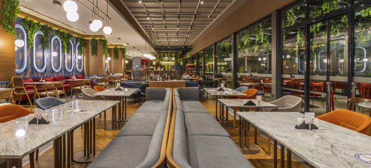 特拉布宗美居酒店(Mercure Trabzon Hotel)图片
