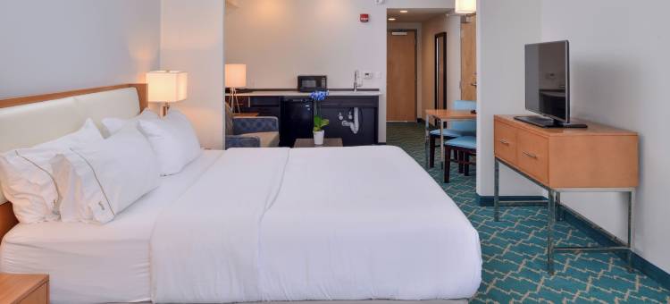 西大洋城智选假日套房酒店(Holiday Inn Express & Suites WEST OCEAN CITY by IHG)图片